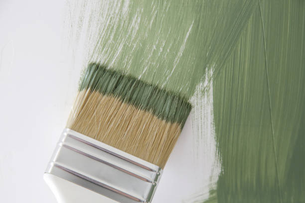 Best Eco-Friendly and Low-VOC Painting  in USA